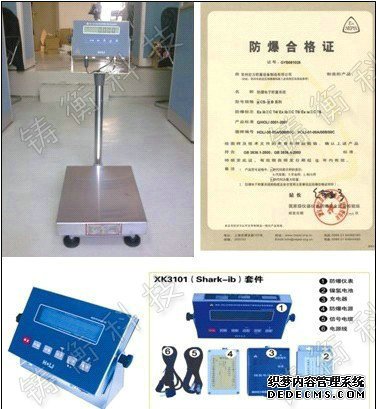 防爆电子鲸鱼传媒在线观看入口IOS